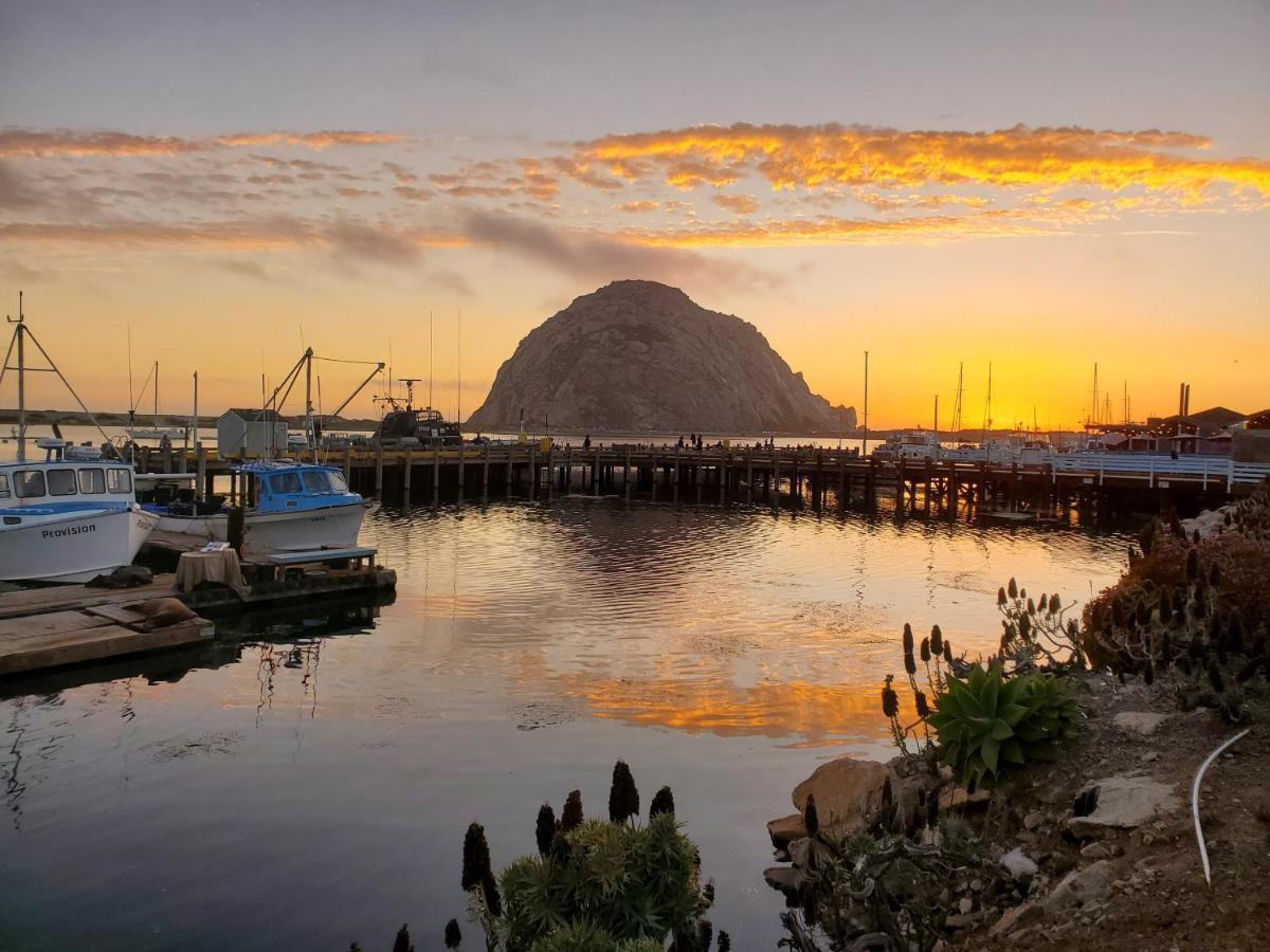 Gray'S Inn & Gallery Morro Bay Exteriér fotografie